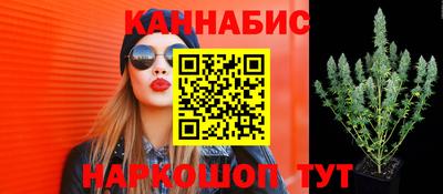 гидра Абинск