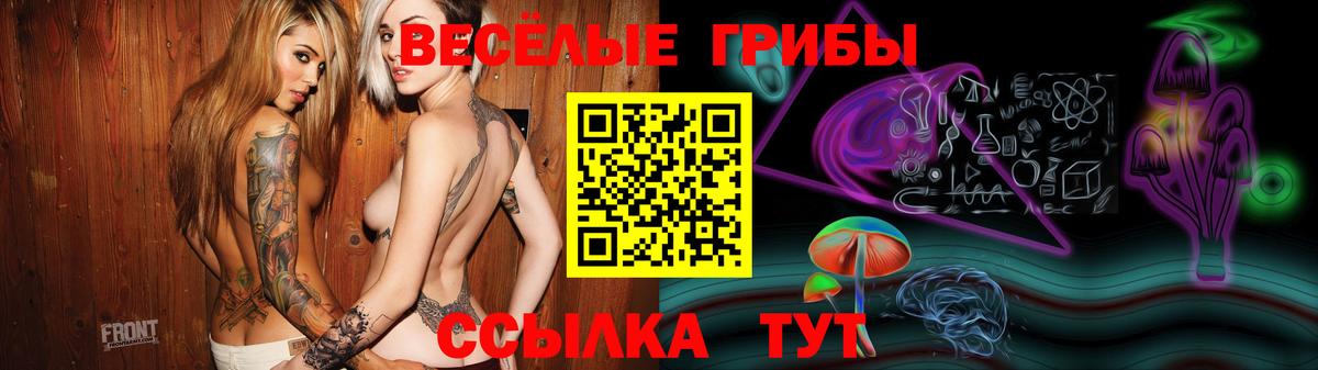 Галлюциногенные грибы Cubensis Апатиты